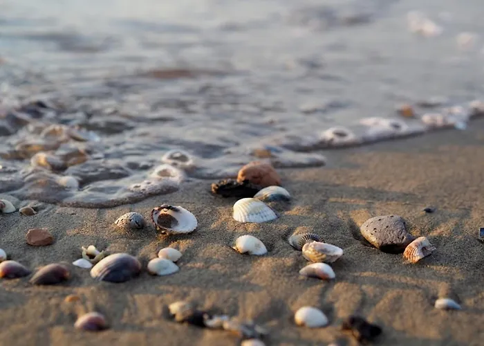 Comfy Flat 80m From The - Beahost Lejlighed Bibione